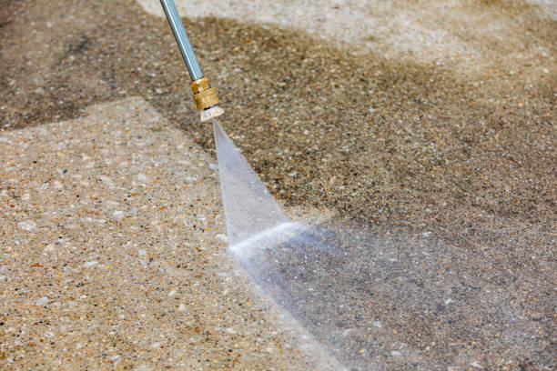 Best Animal Enclosure Cleaning  in Cushing, OK